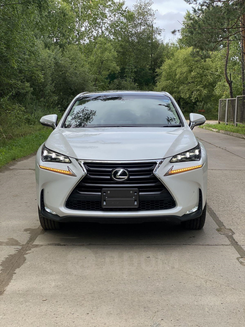 Знакомство с Lexus NX200t -подвеска 🔧 — Lexus NX (1G), 2 л, 2015 года |  покупка машины | DRIVE2