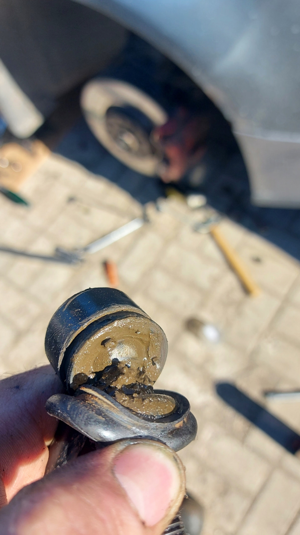 Фото в бортжурнале Volkswagen Passat B6