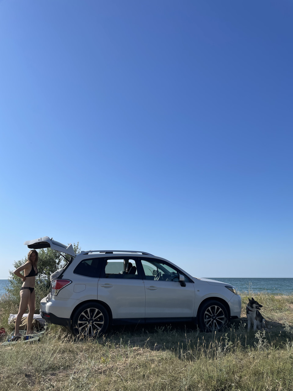 Севастополь — Москва — Subaru Forester (SJ), 2 л, 2017 года | путешествие |  DRIVE2