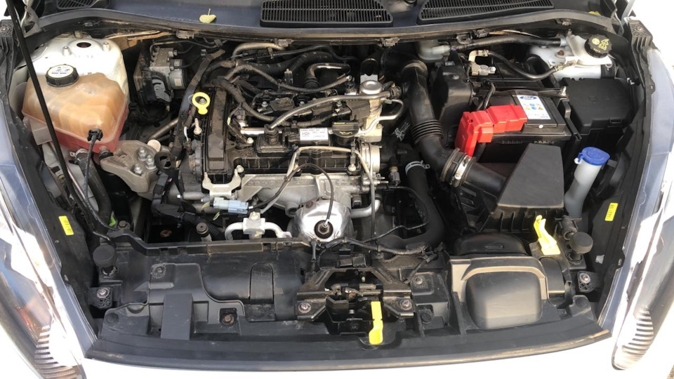 Контрактные двигатели Форд Фиеста | Ford Fiesta, 1.4 литра, бензин