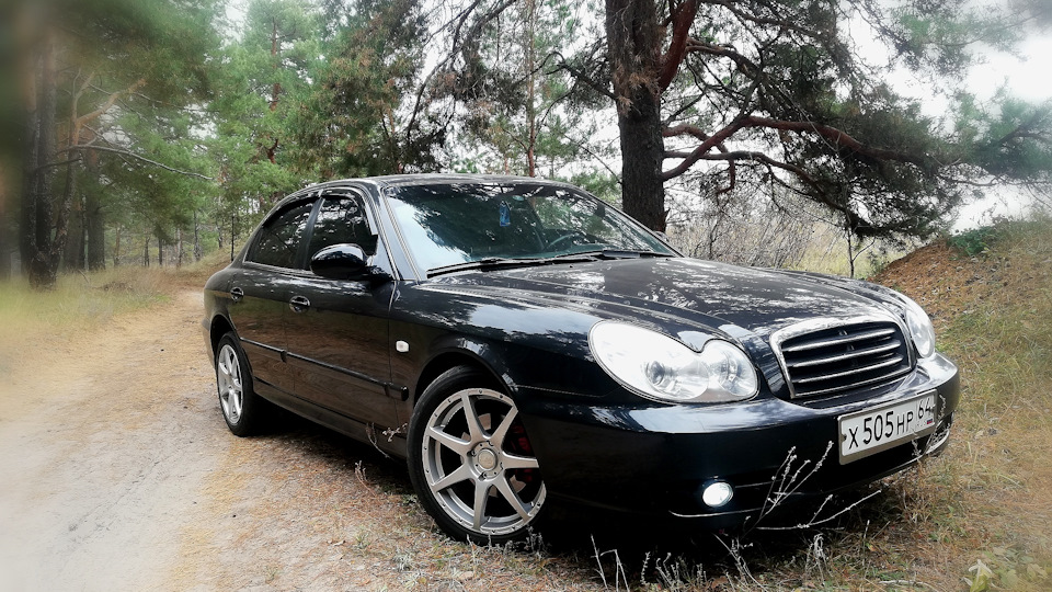 Hyundai Sonata BLACK DORMOUSE