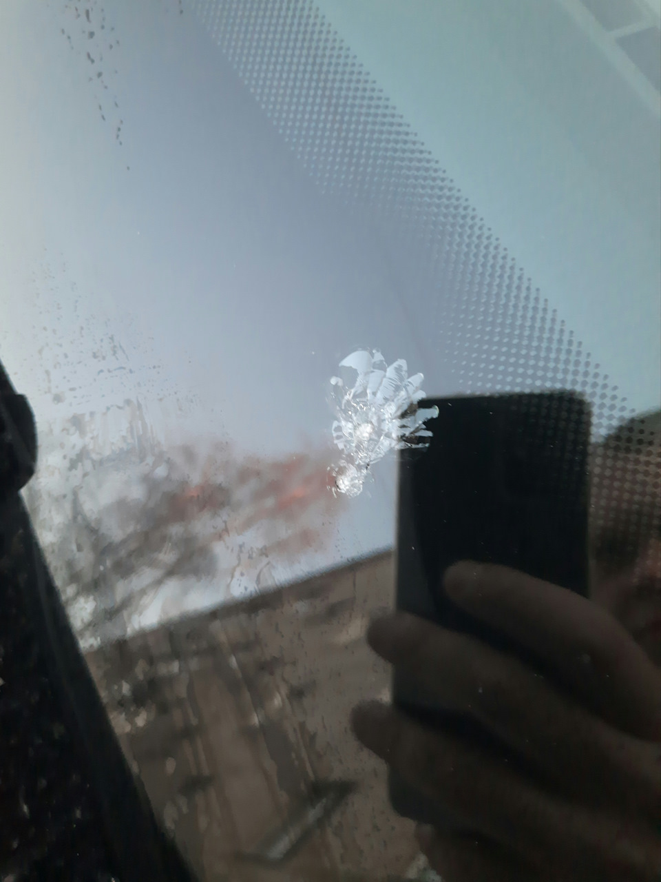 Повреждение лобового стекла с обогревом — Skoda Octavia A7 Mk3, 1,2 л ...