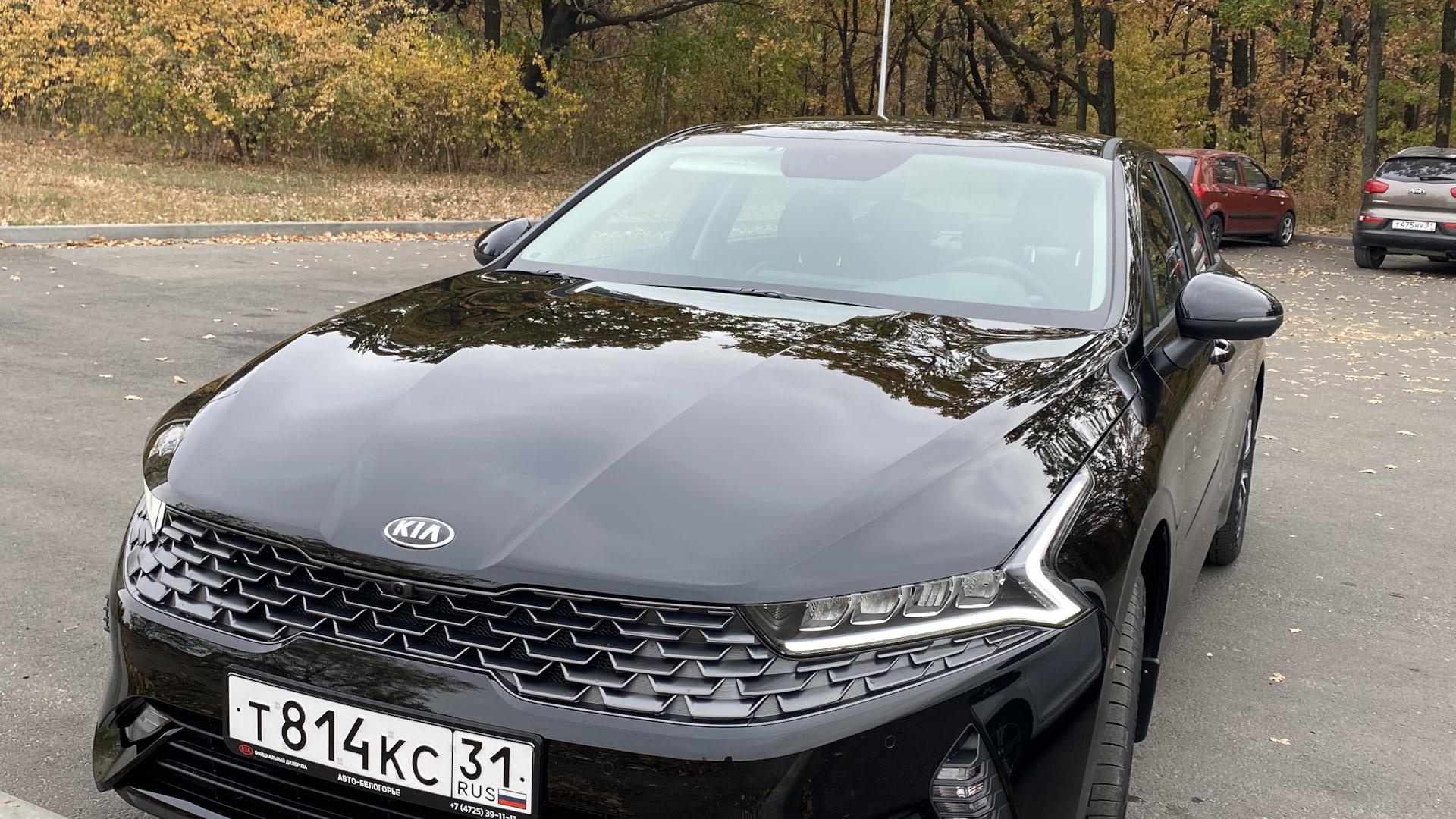 KIA K5 (3G) 2.0 бензиновый 2020 | на DRIVE2