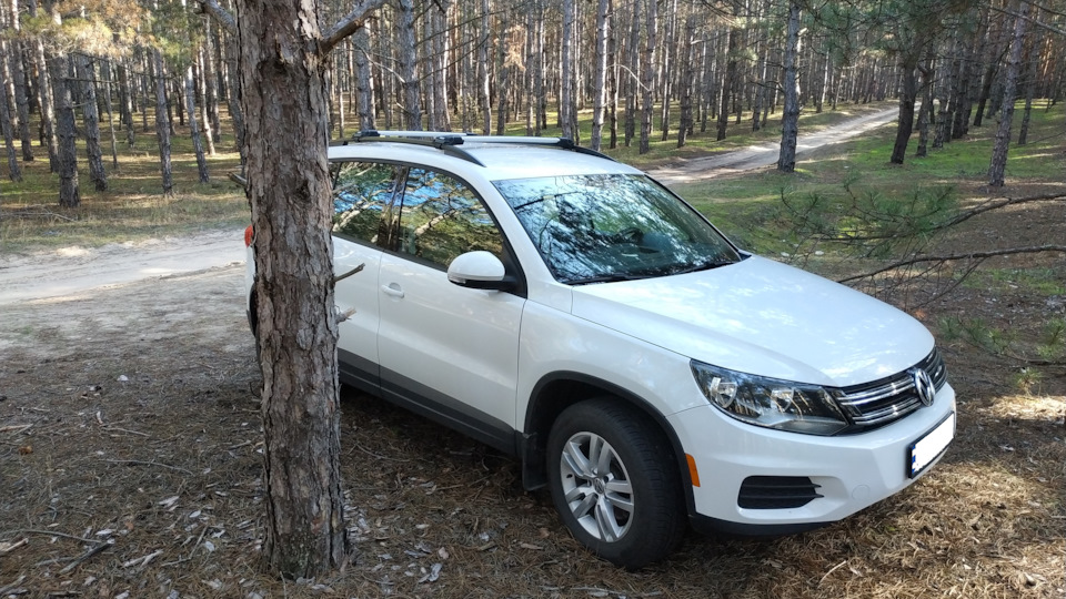 Масло моторное VW 5W-40 для Europe and Ukraine — Volkswagen Tiguan (1G ...