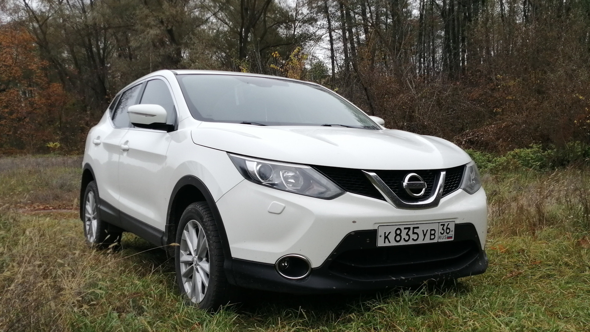 Nissan Qashqai (2G) 1.6 дизельный 2014 | Diesel Power на DRIVE2