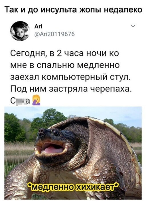 Kartinki Soobshestvo Pozitivov Zy Na Drive2