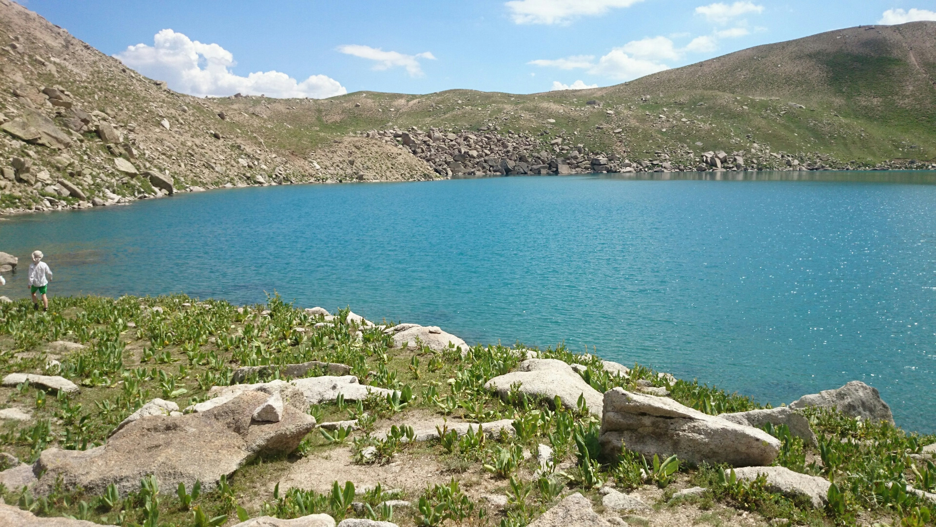 Озера ташкента