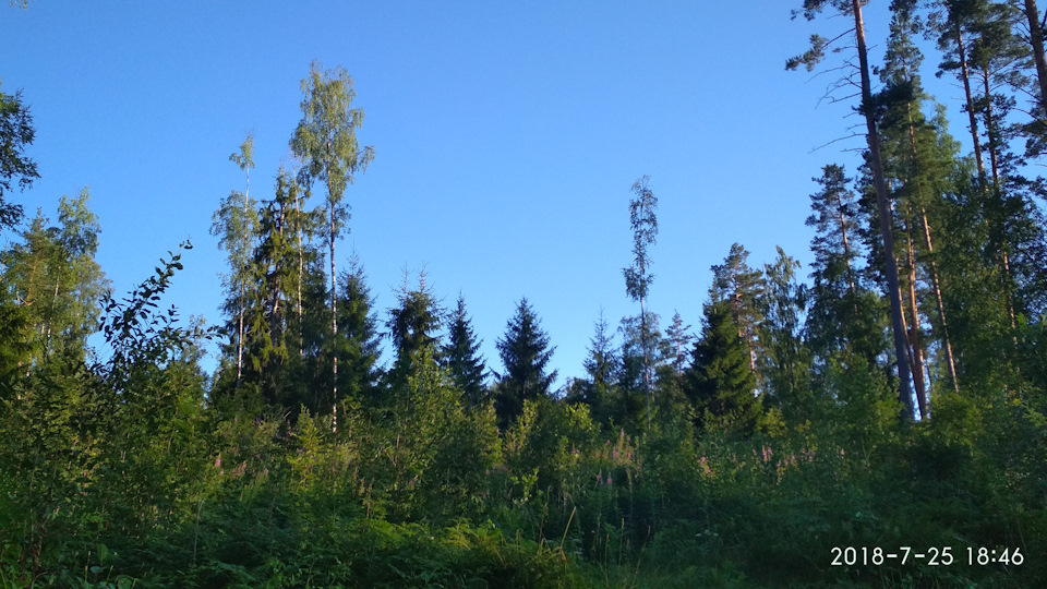 Photo from the logbook Lada Vesta SW Cross (1G)