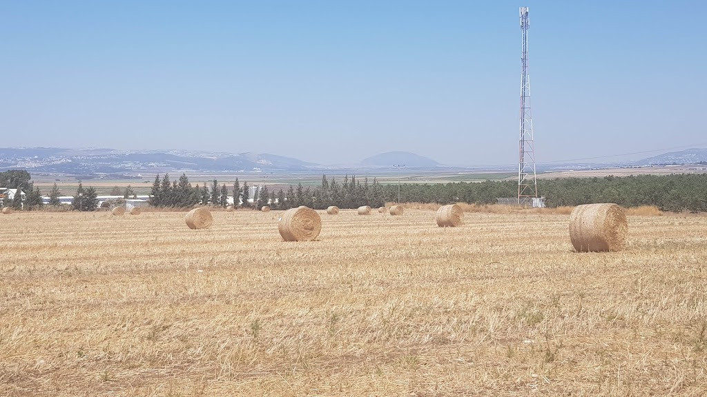 15. Тросиковый привод карбюратора + мехпривод вторичной заслонки — Lada ...