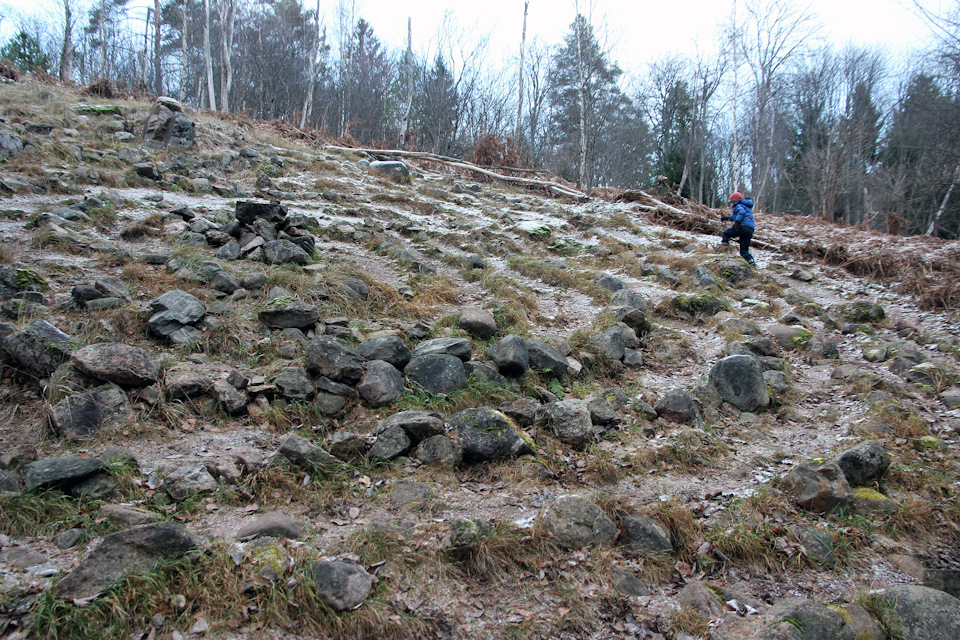 Вокруг Ладоги на Дастере 2 — DRIVE2