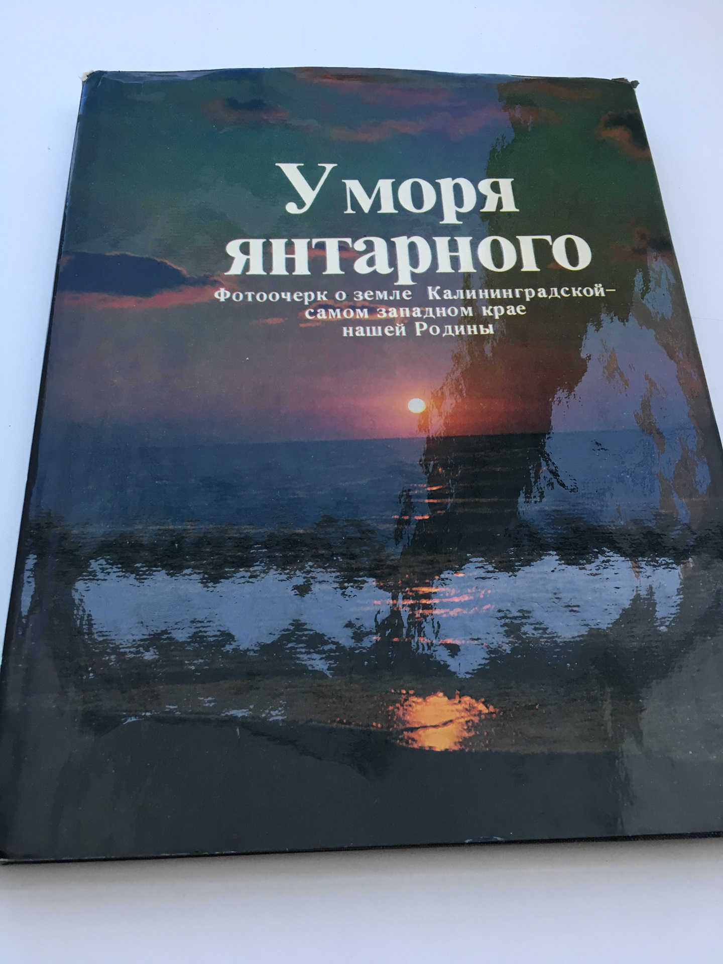 Янтарный грунт. Янтарное море книга. У моря янтарного книга читать. Янтарное море с человеком. Книга о черном море у янтарного моря где купить.