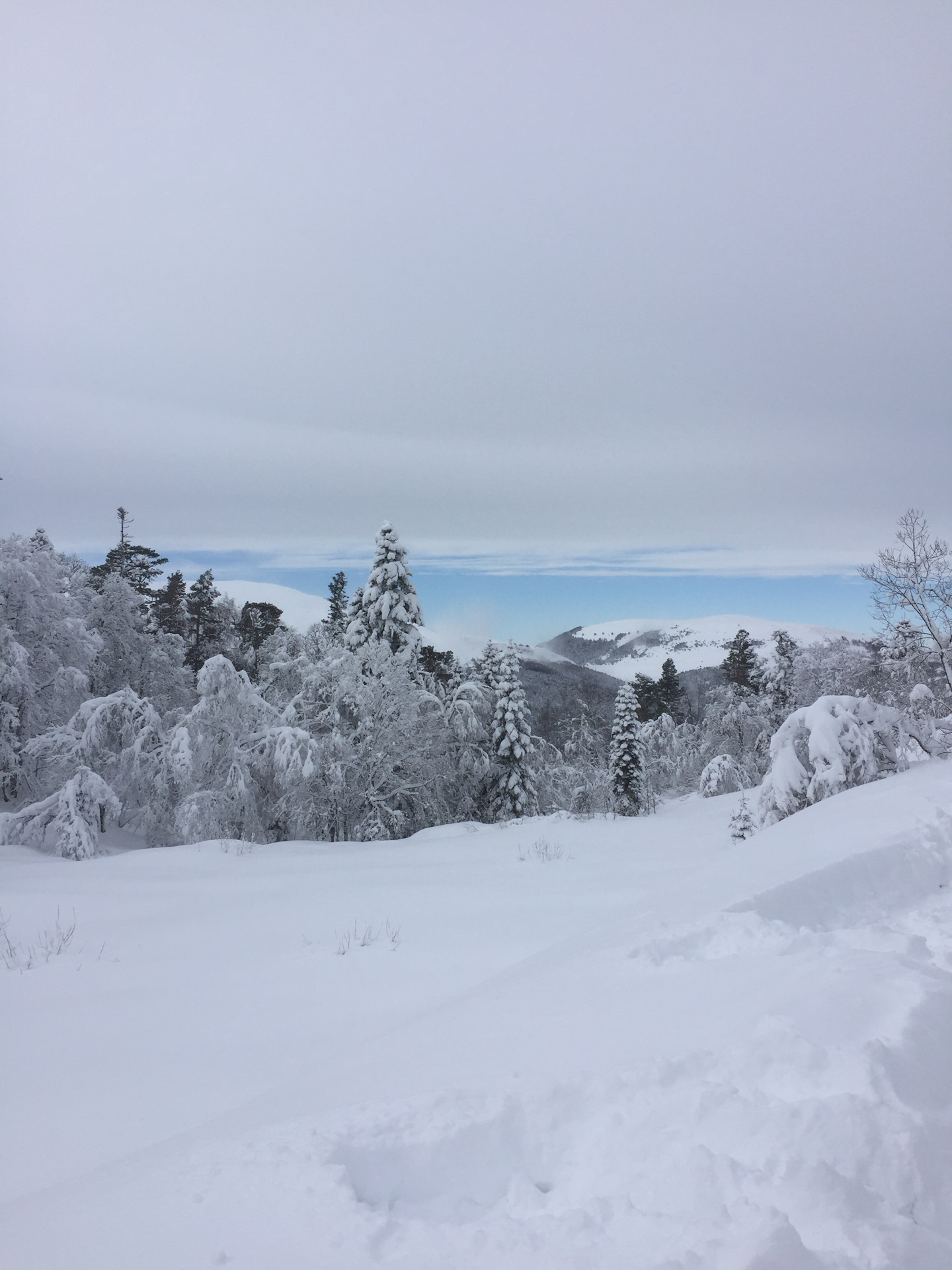 Плато лаго наки снег. Лаго наки есть ли снег сейчас. Лаго наки есть ли снег сейчас. Лаго наки есть ли снег сейчас. Лаго наки зима 2022.
