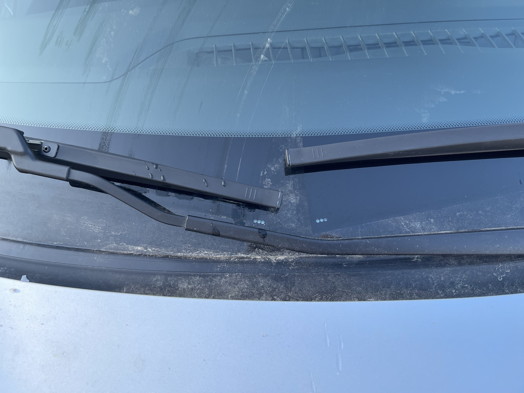 Стеклоочистители на зиму и лето — Lada Vesta SW Cross, 1,6 л, 2020 года ...