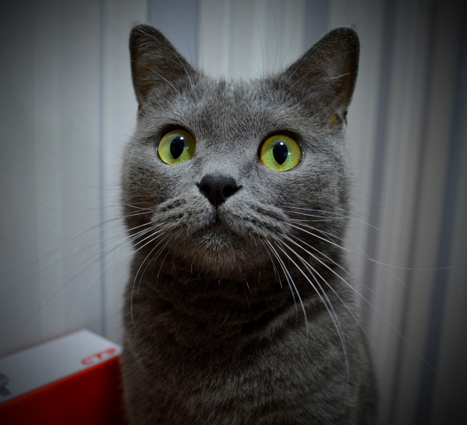 Анализ отработки масла Роснефть М10ДМ на Hyundai Solaris после 5000км ...