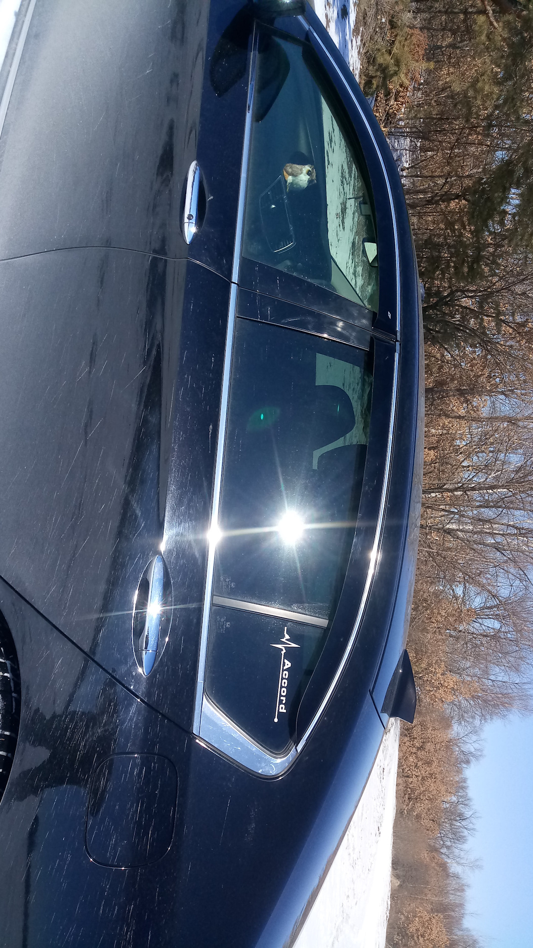 Установка дефлекторов окон. — Honda Accord Hybrid (9G), 2 л, 2013 года ...