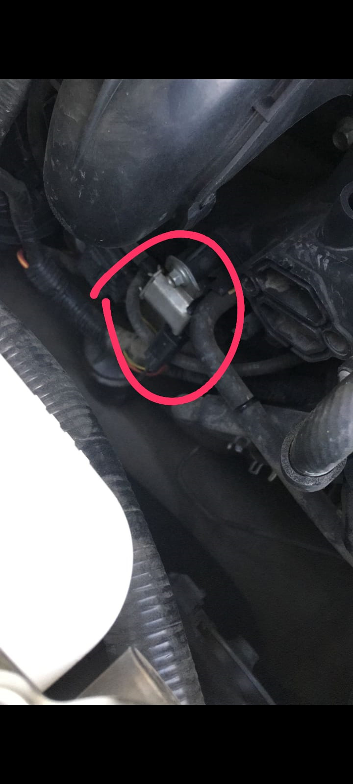 Клапан абсорбера или как его там — Mazda 6 (2G) GH, 1,8 л, 2008 года ...