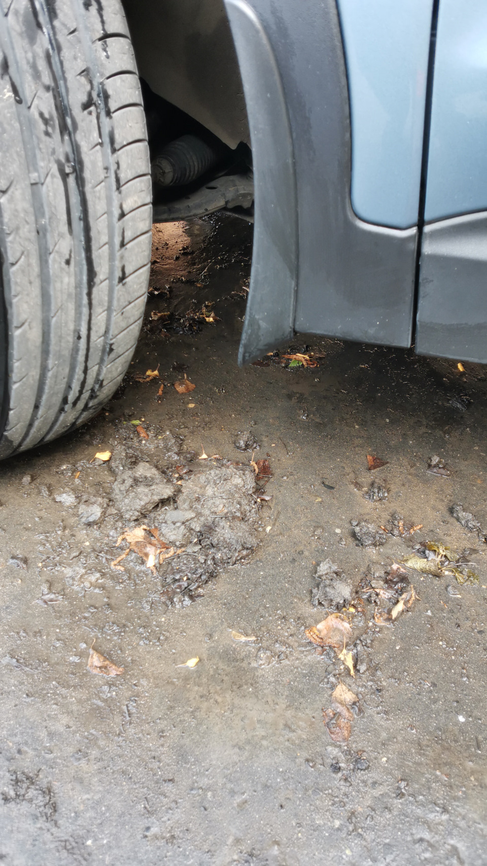 Дребезг под нагрузкой при ускорении — Hyundai Santa Fe (3G), 2,2 л ...