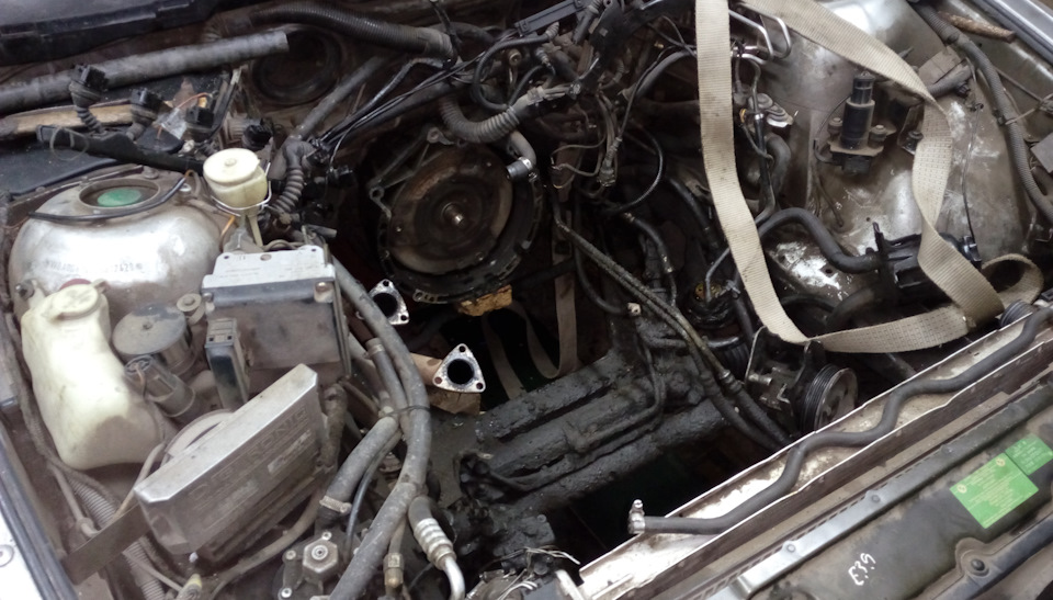 Месячные у нее шли где то около полутора лет)))) — BMW 5 series (E39)