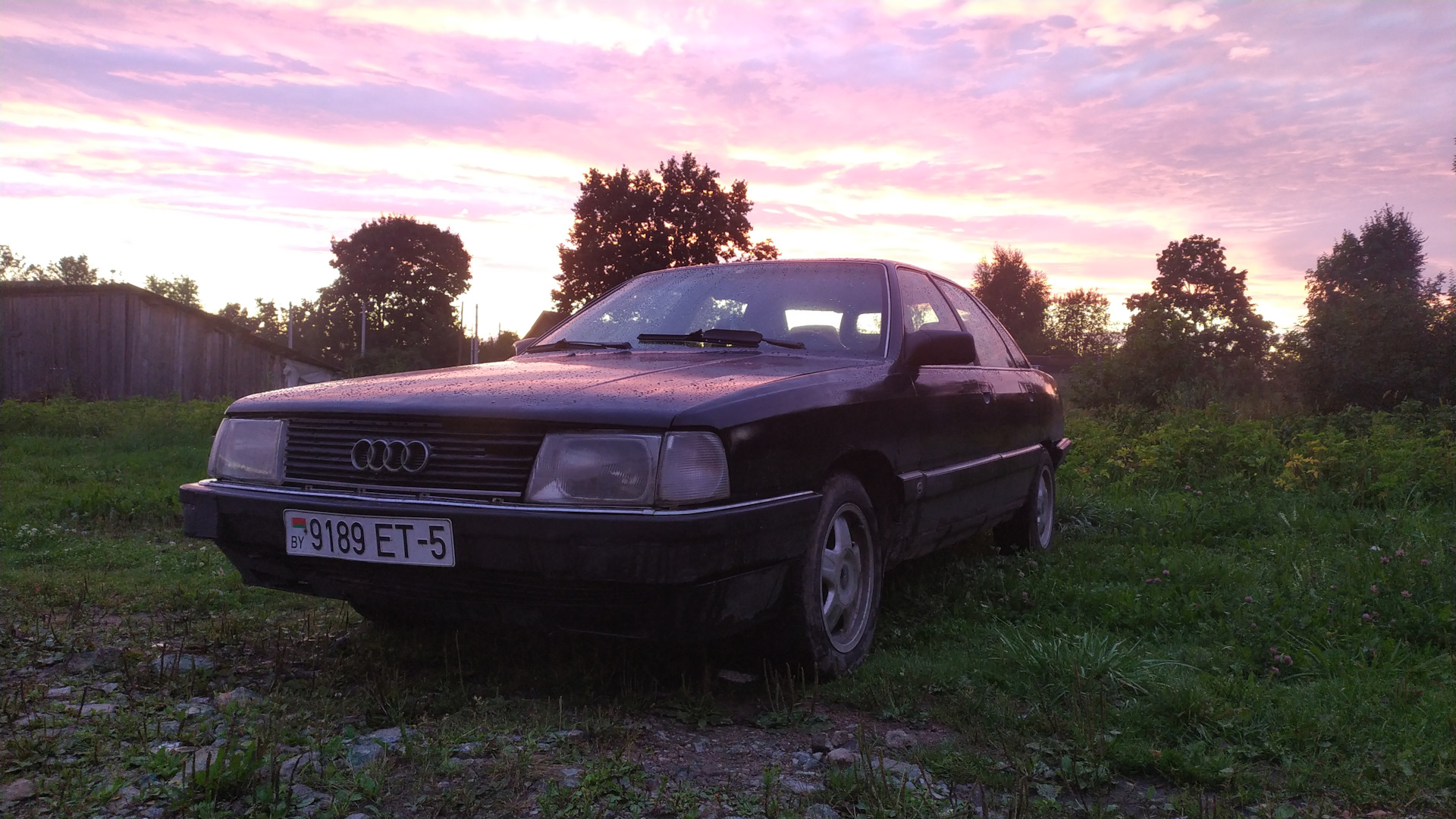 Audi 200 (C3) 2.3 бензиновый 1990 | quattro на DRIVE2