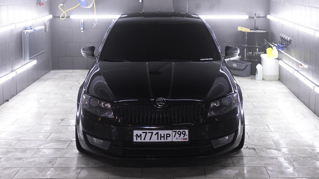 Черная Октавия а5 50