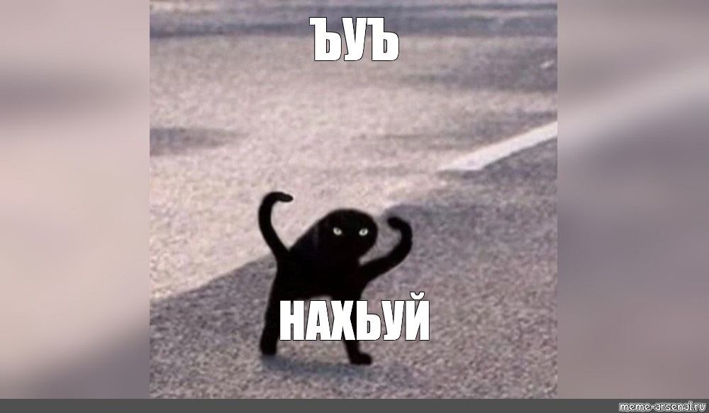 Мем черный кот смотрит на другого