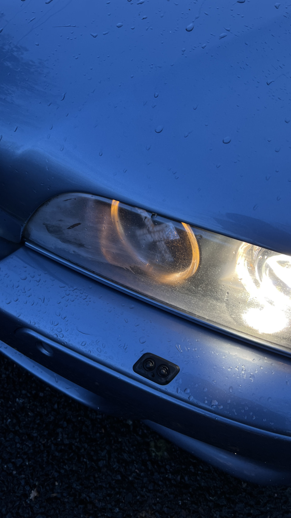 Запотела фара — BMW 5 series (E39), 3 л, 2001 года | другое | DRIVE2