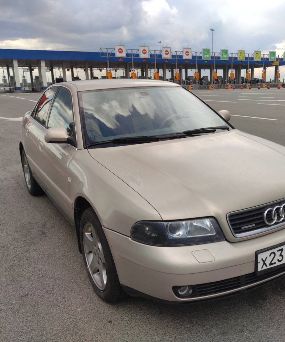 Ведро слез — Audi A4 (B5), 2,8 л, 2000 года | продажа машины | DRIVE2