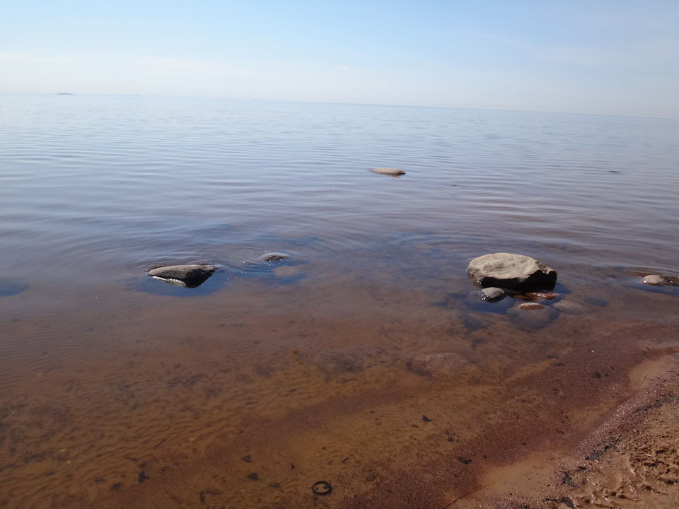 что посмотреть в разливе