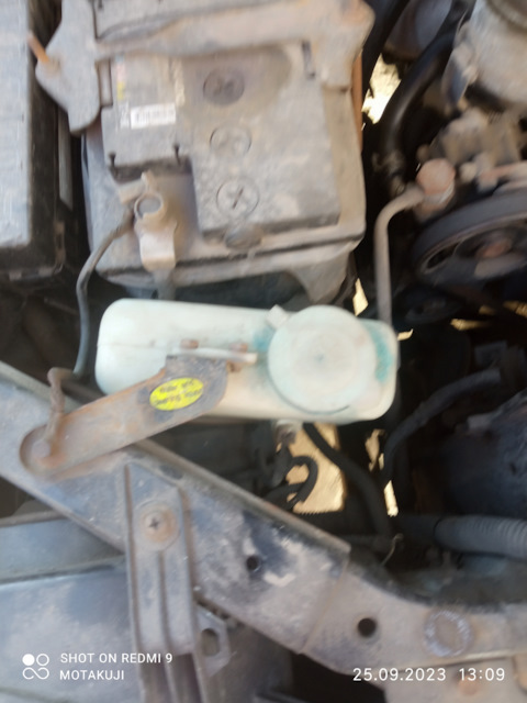 Бортжурнал ZX GrandTiger Тигрёнок