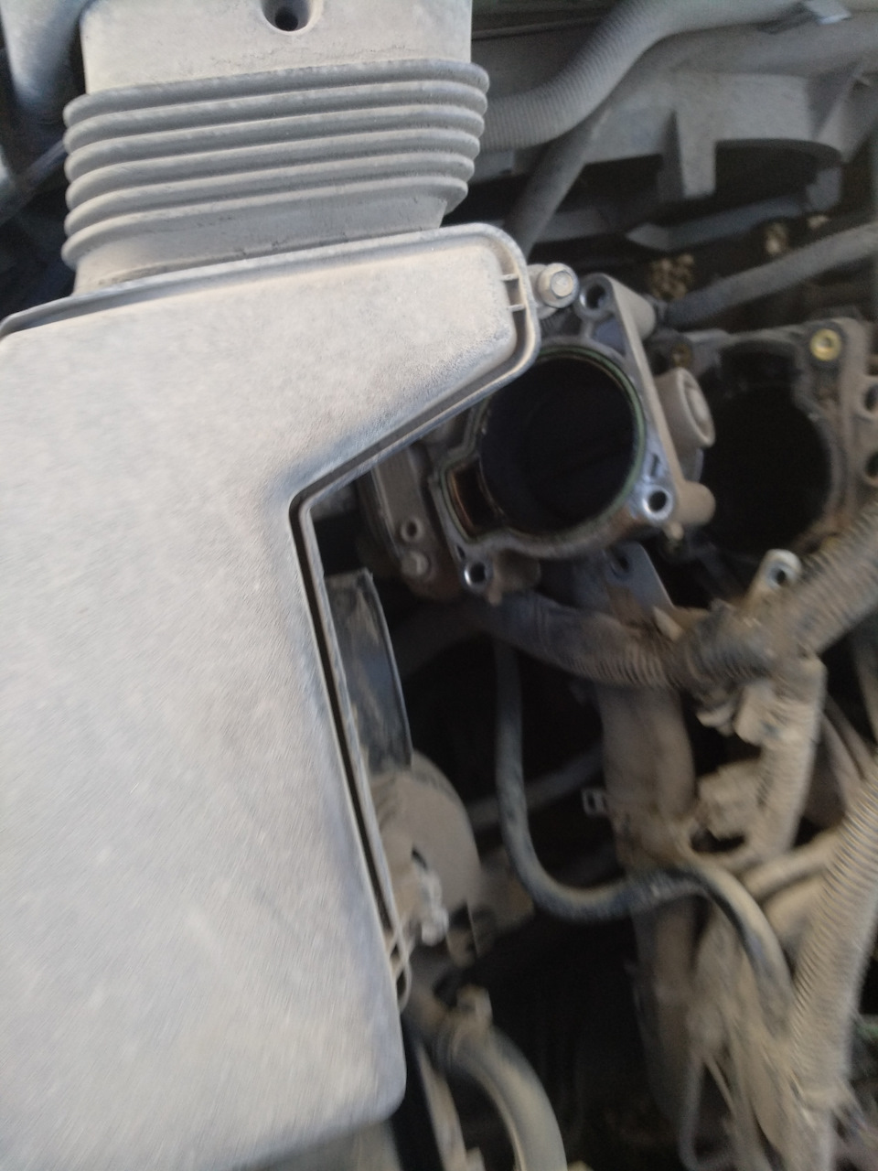 Чистка дроссельной заслонки и отключение egr — Ford Focus II Hatchback ...