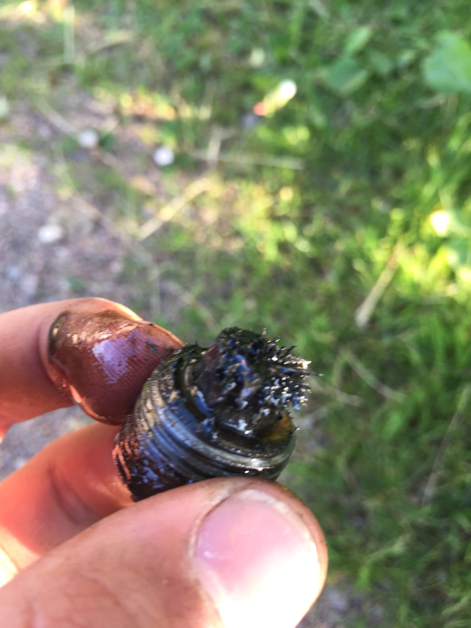 Слил масло с моста а оно не оч)) — ГАЗ 3110, 2,3 л, 2001 года | своими ...