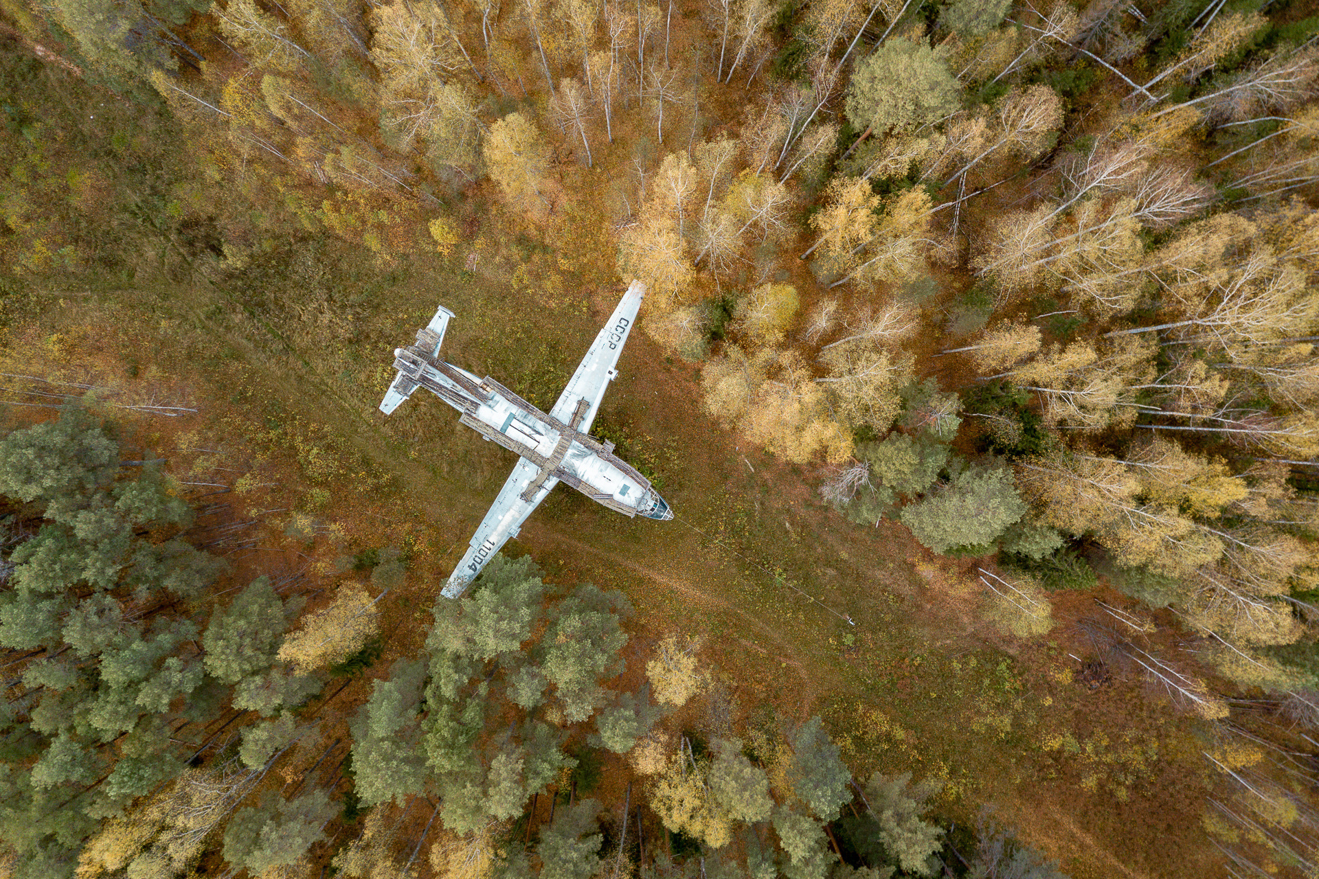 самолет найденный в лесу в 1985 году. боинг 727 дом в лесу. самолет в подмосковном лесу. находки в болотах карелии. заброшенный самолет в лесу.
