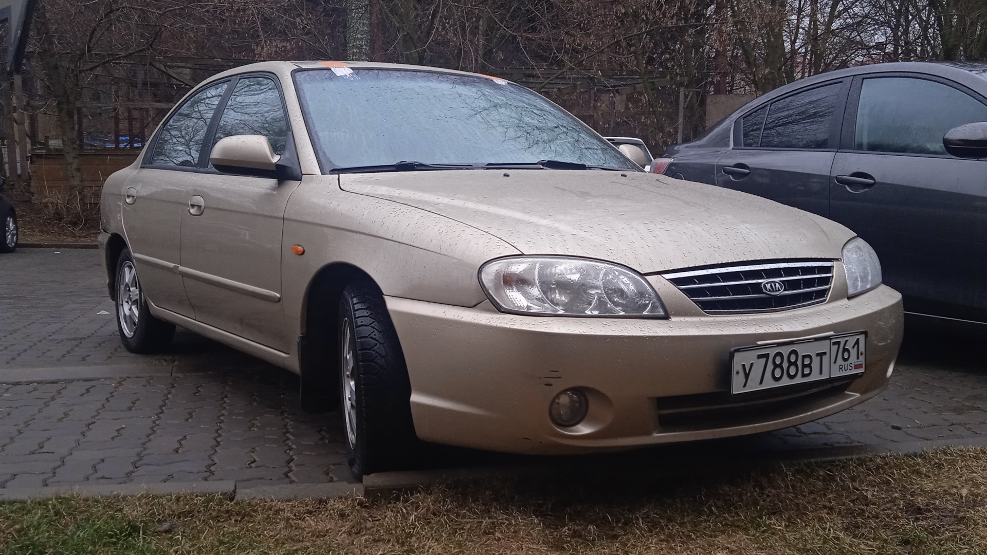 KIA Spectra 1.6 бензиновый 2008 | 𝕱𝖔𝖝(машина жены) на DRIVE2