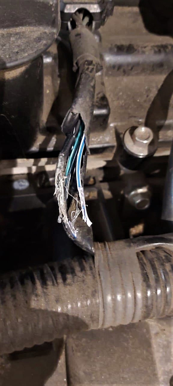 Внимание крысы! — Mazda 3 (4G) BP, 1,5 л, 2019 года | поломка | DRIVE2