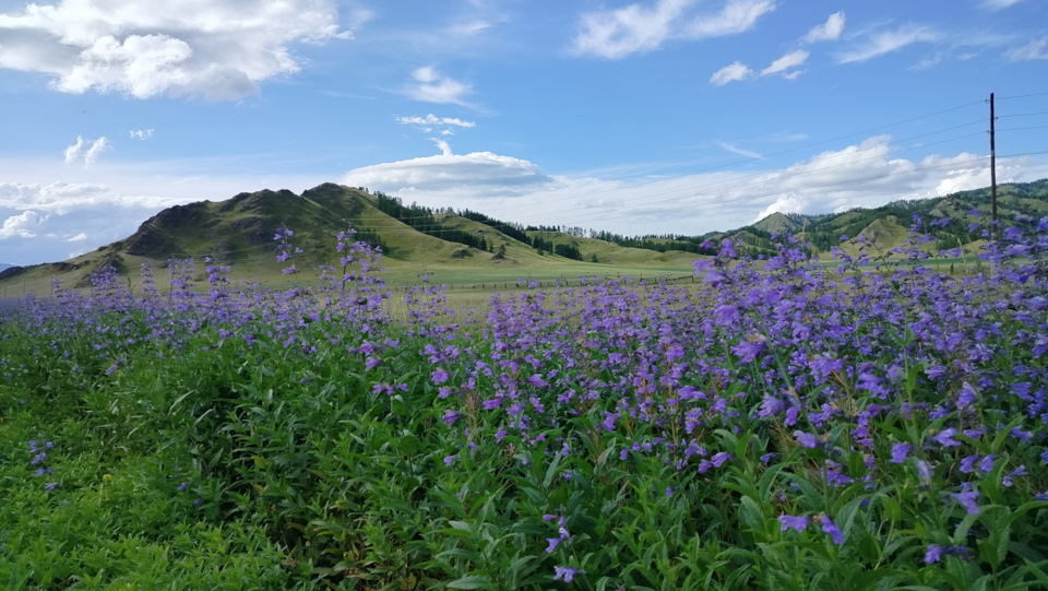 Фото в бортжурнале Mitsubishi Pajero (3G)