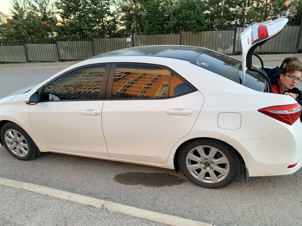 Пятнащка — Toyota Corolla (160), 1,6 л, 2014 года | аксессуары | DRIVE2