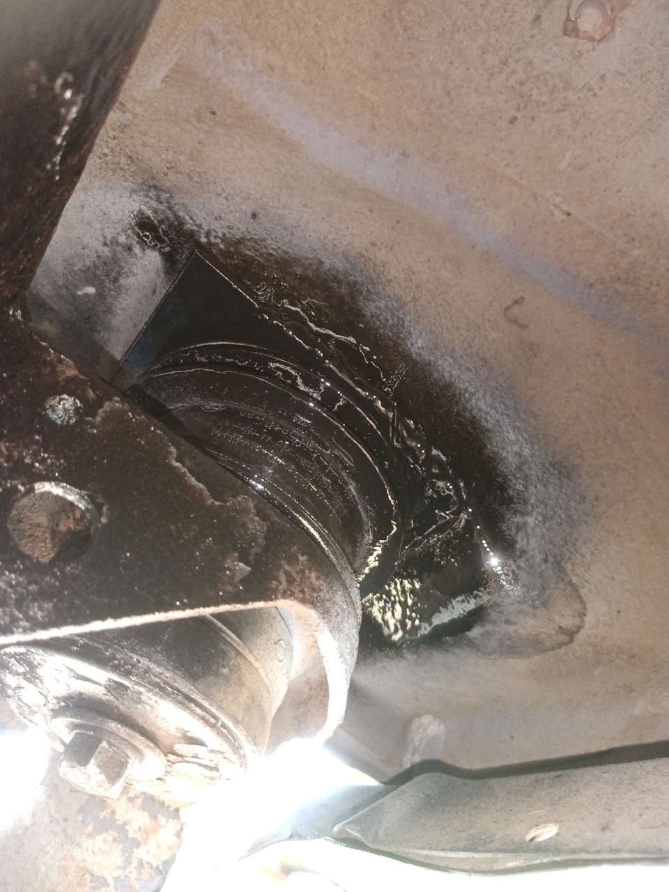 Фото в бортжурнале SsangYong Kyron