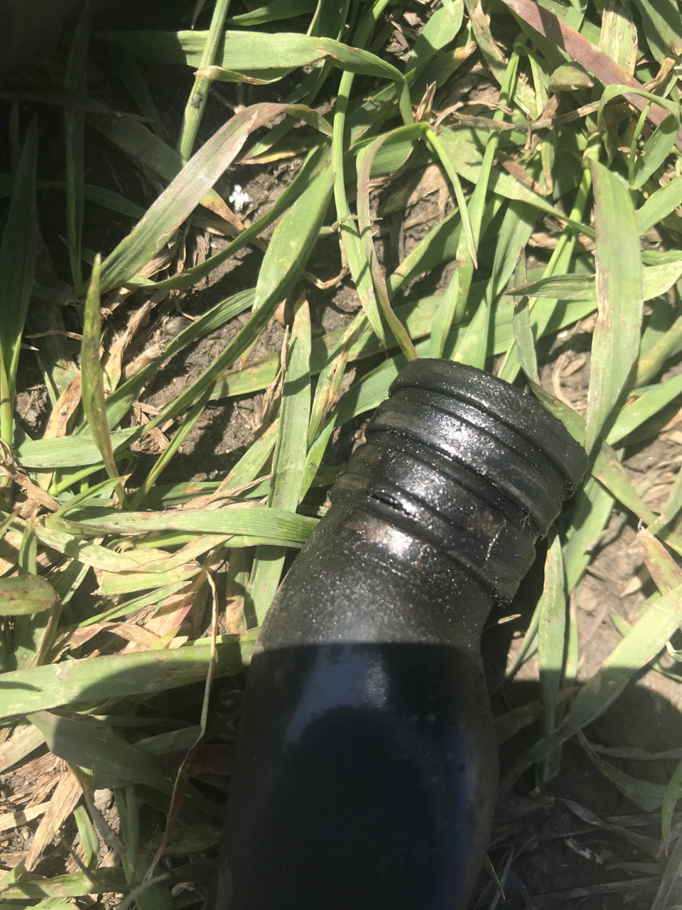 Фото в бортжурнале Volkswagen Passat B6