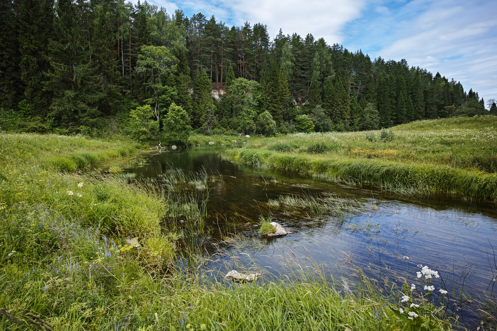 река держа тверская область