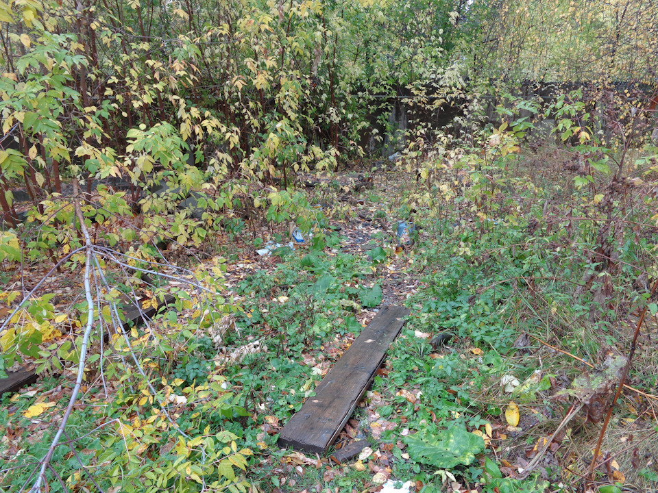 Лампы в ближний Osram + габариты — Chevrolet Lacetti Sedan, 1,6 л, 2008 ...