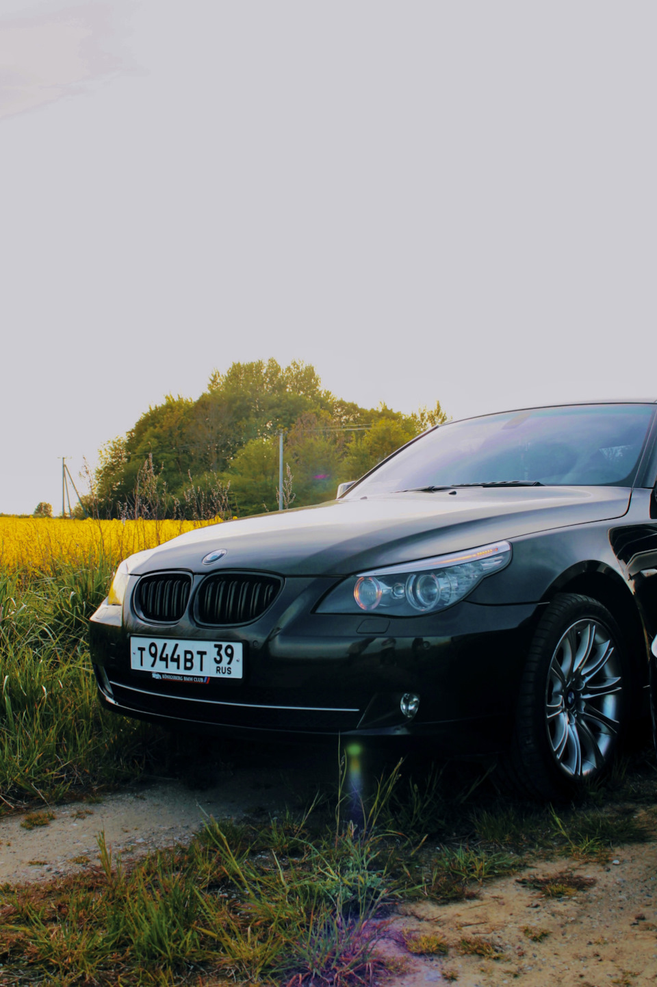 Фото в бортжурнале BMW 5 series (E60)