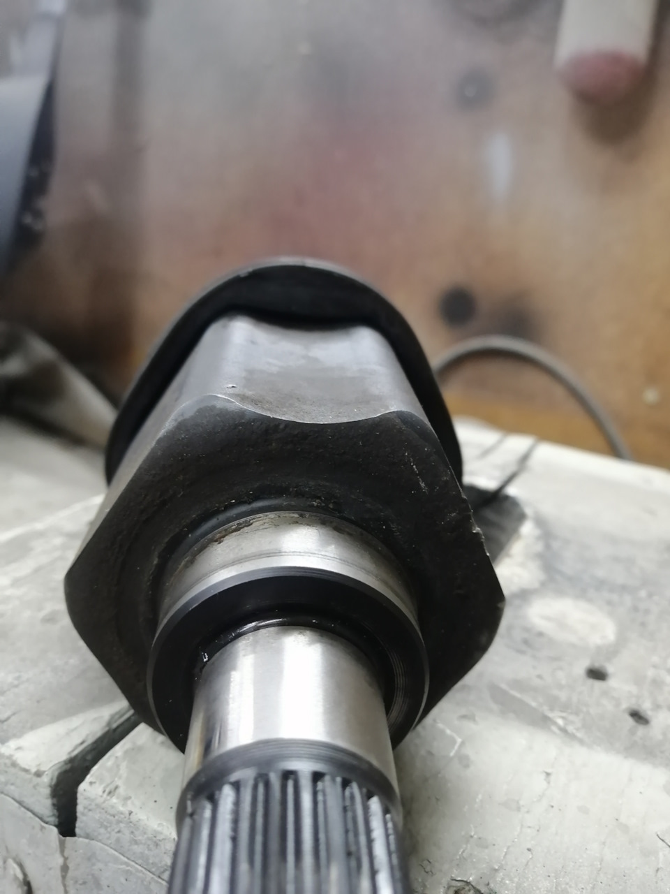 Пыльник внутреннего трипоида. — DRIVE2