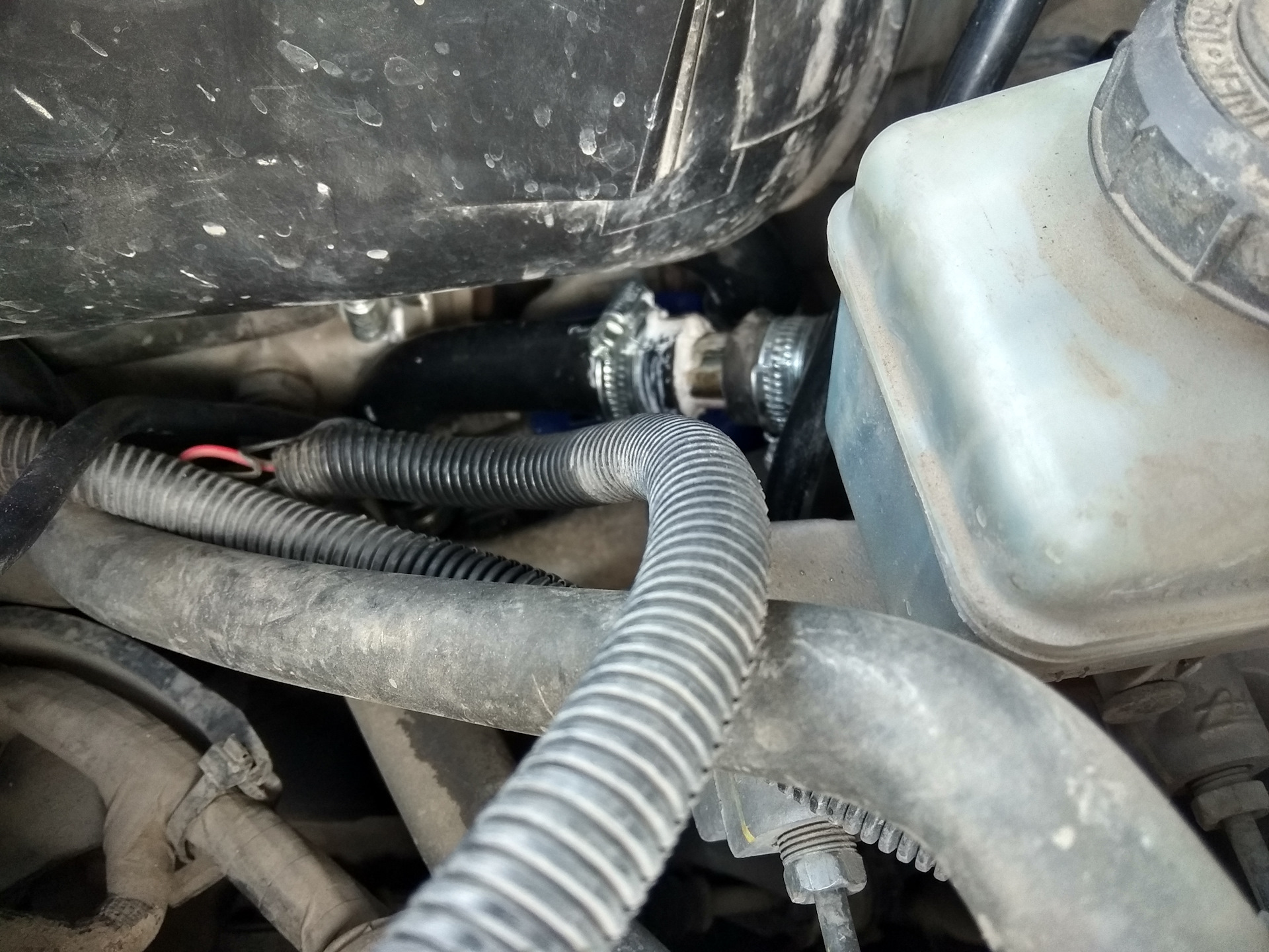 подогреватель рено дастер. подогрев двигателя дастер 2л. электрический подогреватель renault дастер. вебасто на дастер дизель. предпусковой подогреватель на рено логан 1.