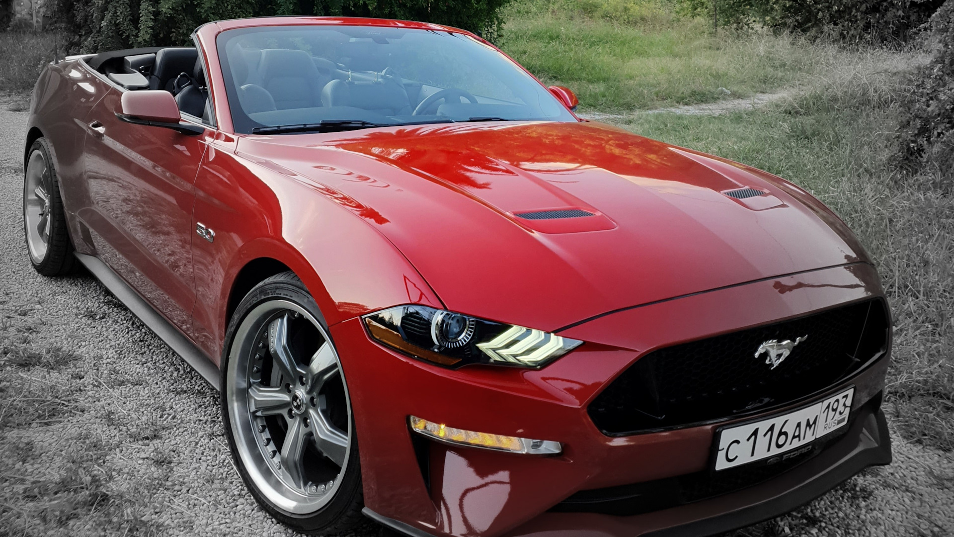 Ford Mustang 6G 50  2019  GT Cabrio  DRIVE2