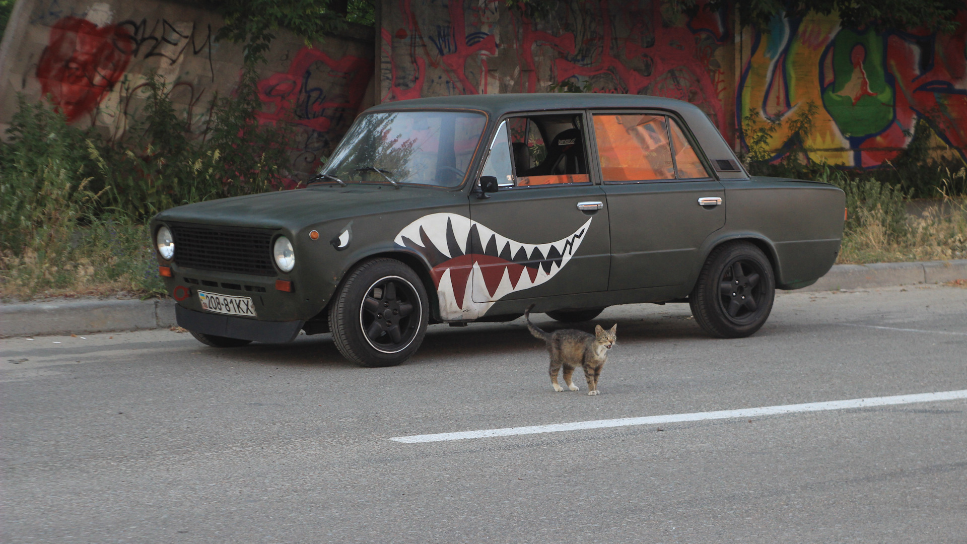 Жигули и котики. Кот жигули. Ваз-2107 «жигули». Жигули фиат 124. Редкие жигули.