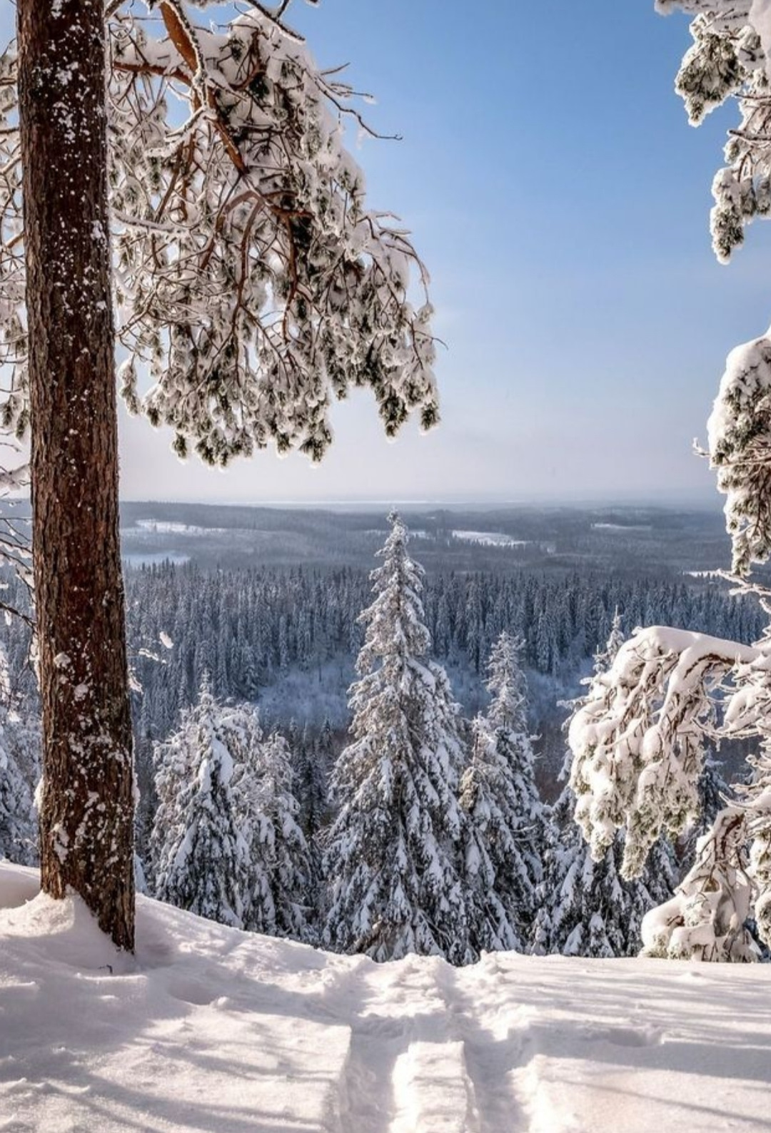 Красивые Зимние Картинки Фото