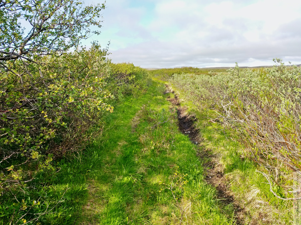 Фото в бортжурнале SsangYong Kyron