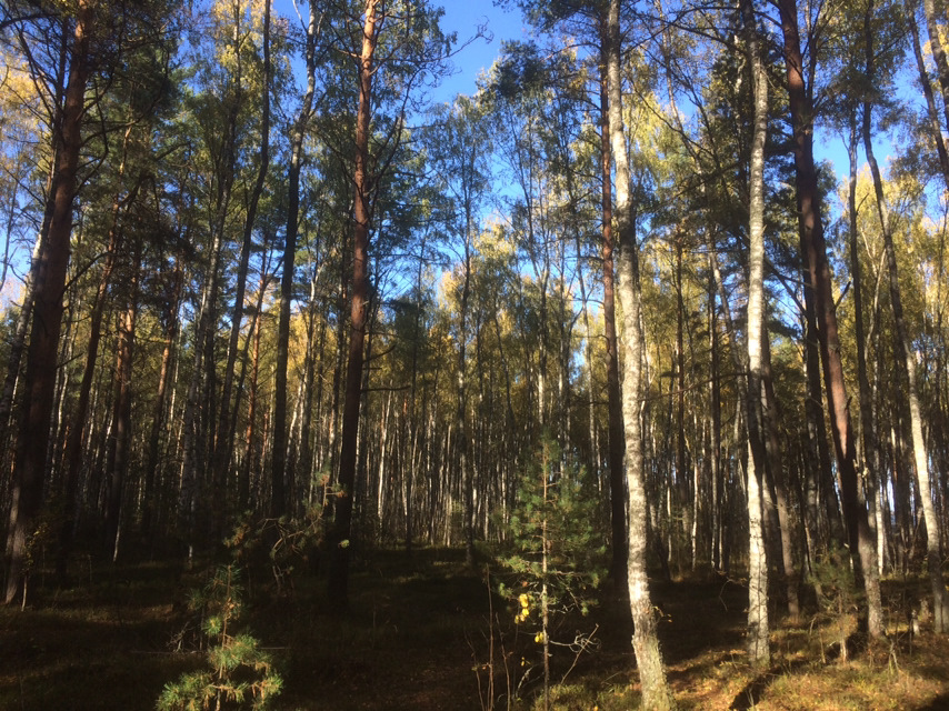 Как стоит кардан? — Toyota Fortuner (1G), 2,7 л, 2013 года | наблюдение ...