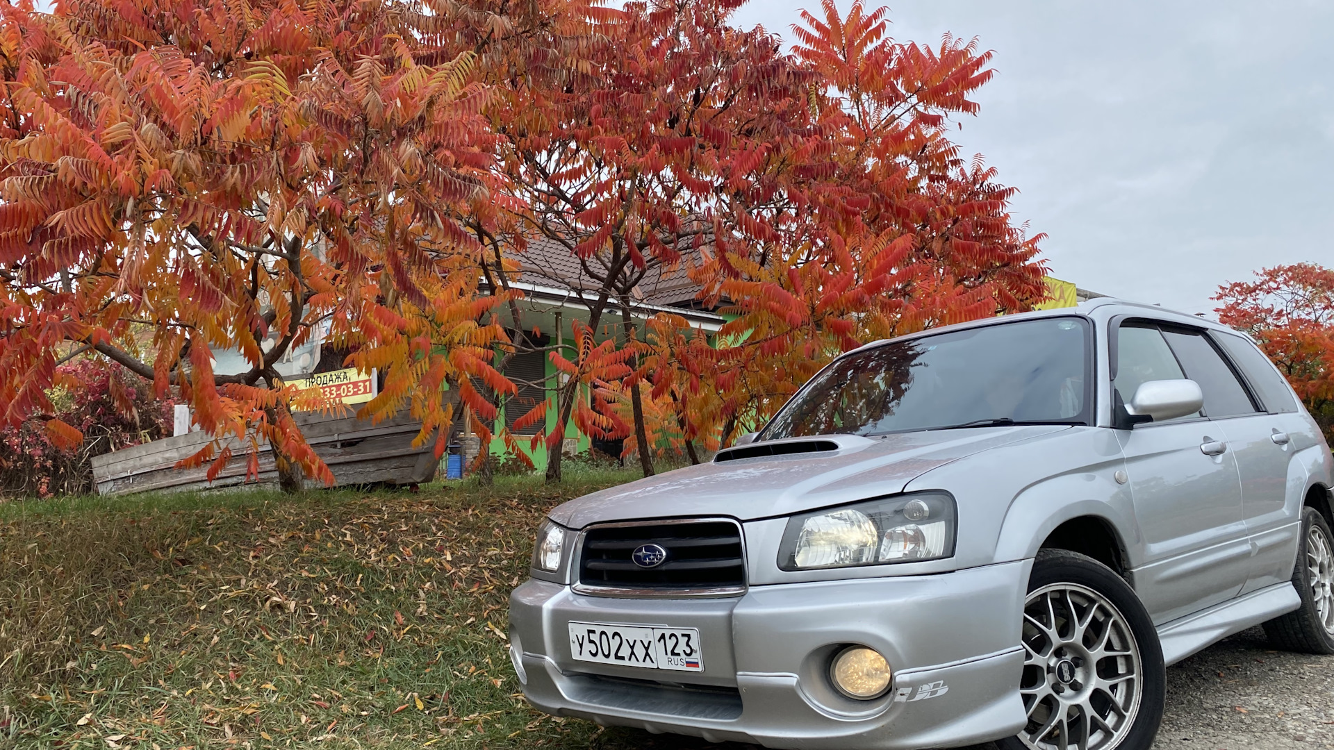 Subaru Forester (SG) 2.0 бензиновый 2002 | スバルフォレスター asS.G на DRIVE2