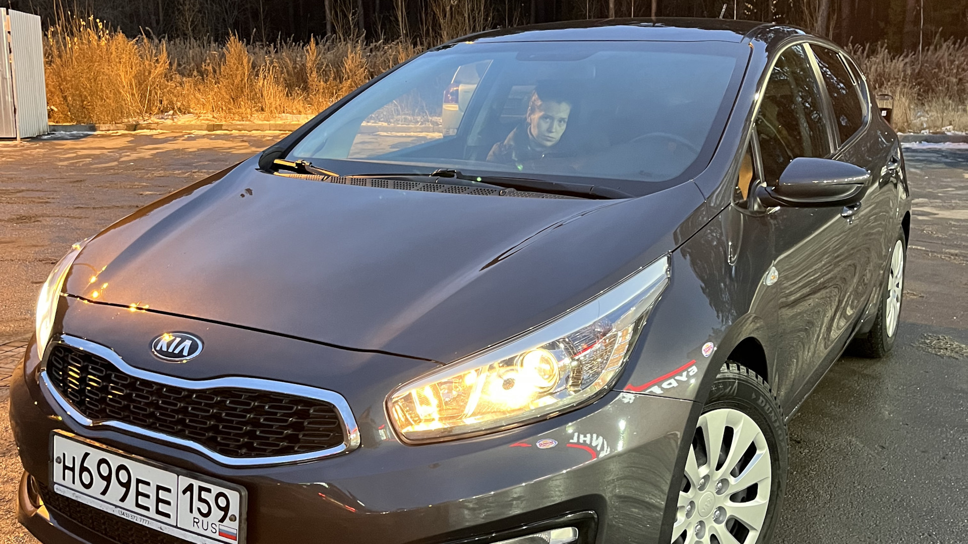 KIA Ceed (2G) 1.6 бензиновый 2016 | DSCdetailing на DRIVE2